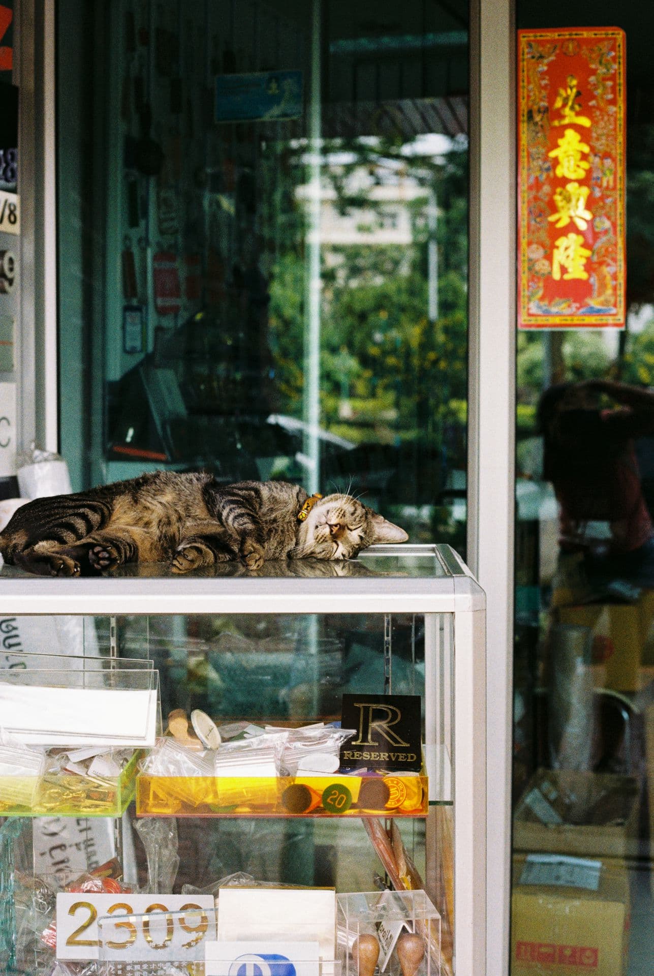 Shop cat in Bangkok Thailand sleeping on the counter 35mm film photography
