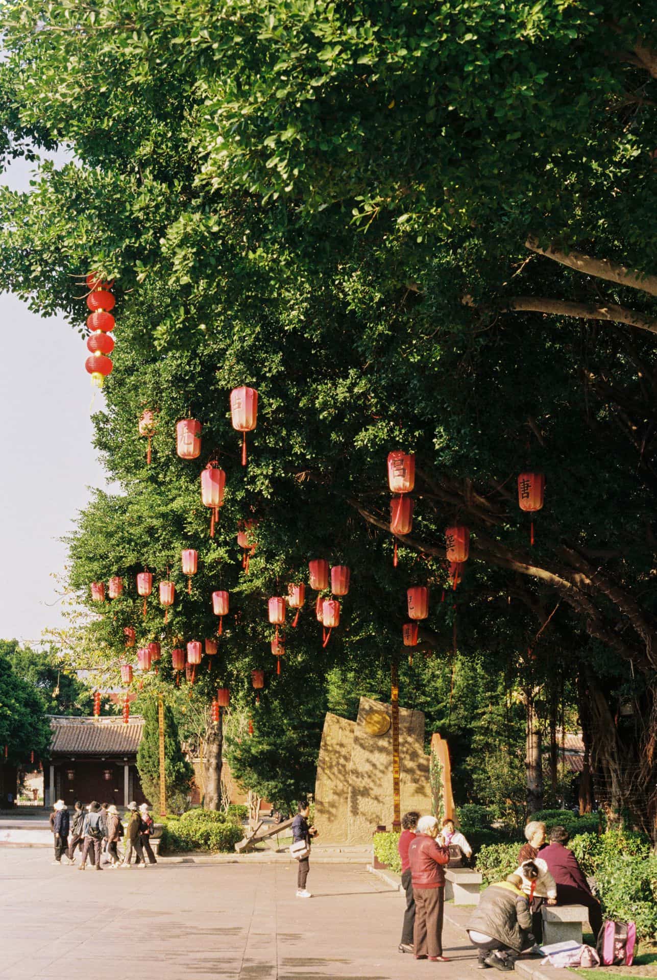 Senior citizens of Quanzhou China hanging out under the lantern decorated tree 35mm film photography